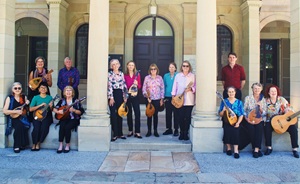 Mandolins in Brisbane